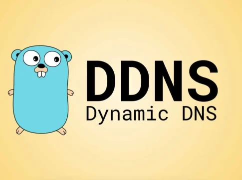 Dynamic DNS