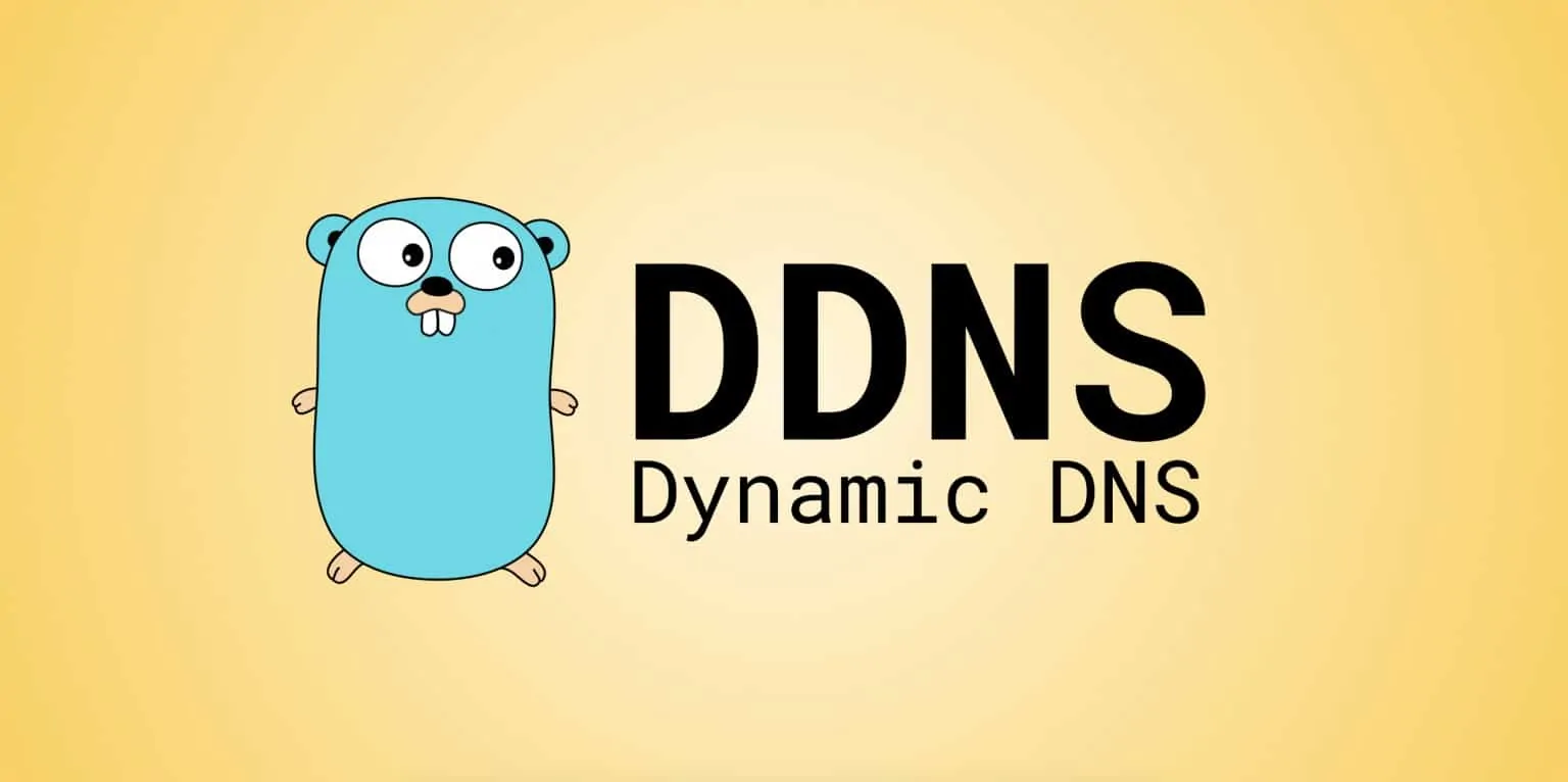 Dynamic DNS Dynamic DNS