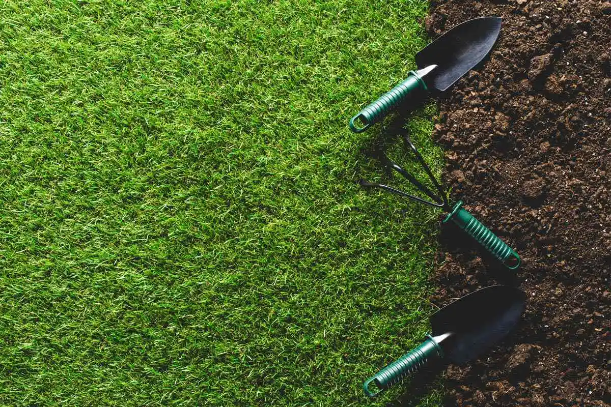 How to Grow Grass How to Grow Grass