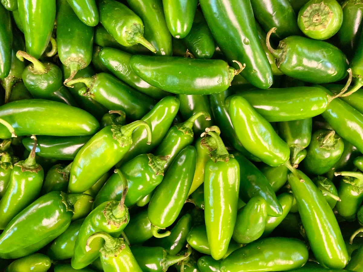 Jalapeno Peppers Jalapeno Peppers