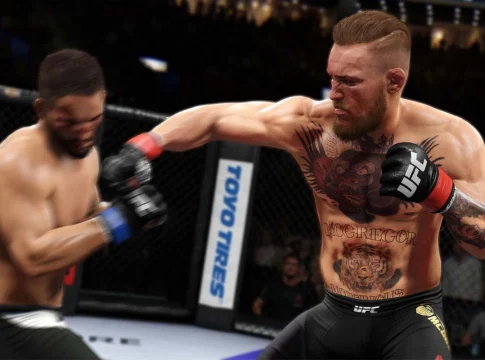 UFC Gameplay