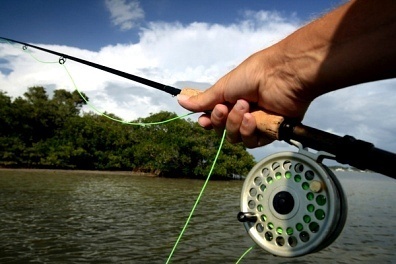Fishing Reel